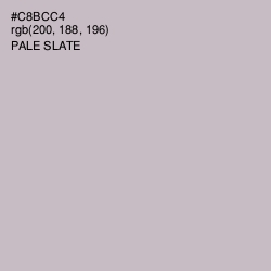 #C8BCC4 - Pale Slate Color Image